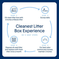 Boxie Premium Unscented Clumping Cat Litter 30+ Day Odor Control – Daily Care for Cats - Unscented / 16 lb - image 4