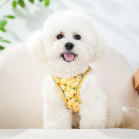 Step in Dog Harness No Pull Flower Adjustable Soft Mesh Harness – Essentials for Dogs - S(neck:10.5"-12",chest:13.5"-16") / Yellow - image 3