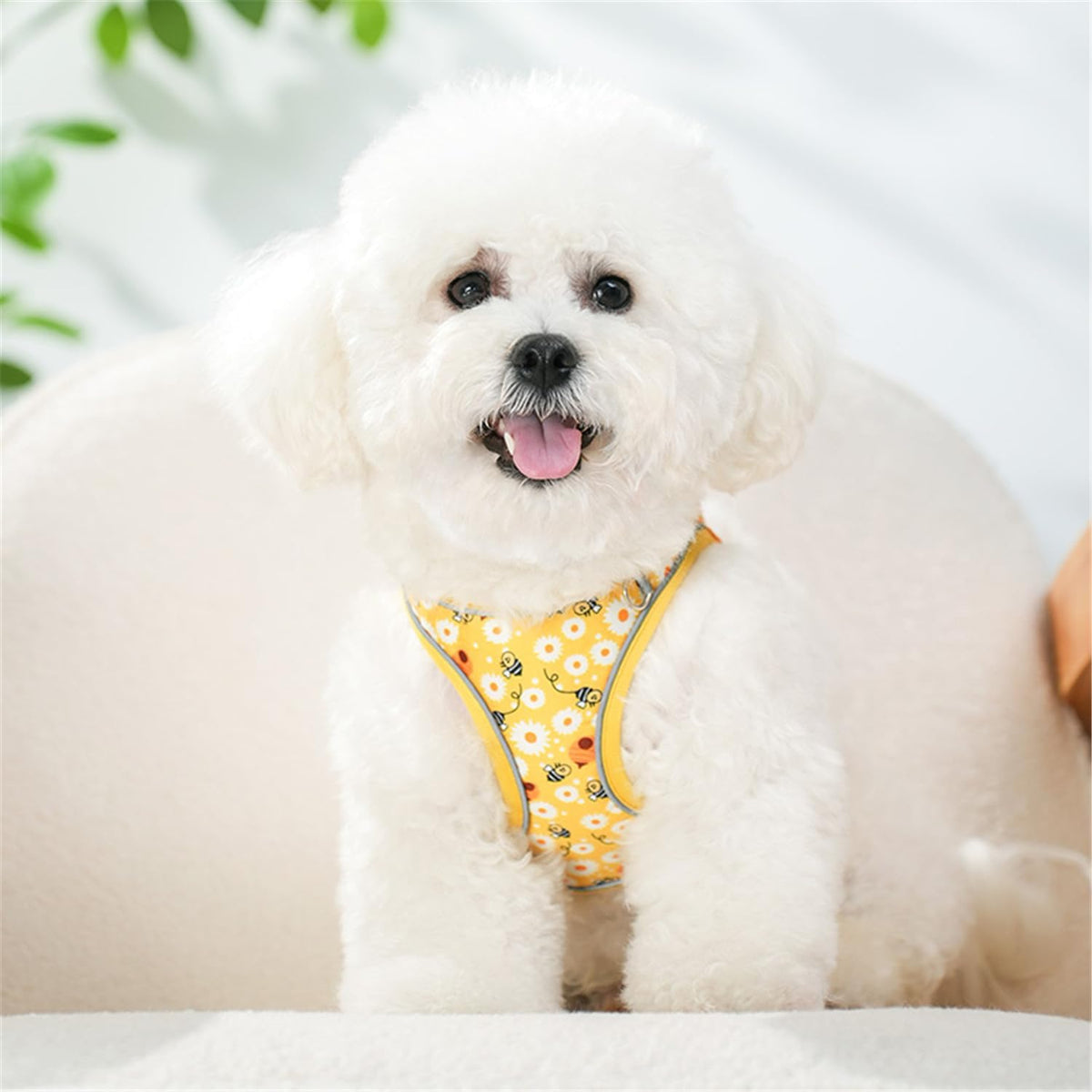 Step in Dog Harness No Pull Flower Adjustable Soft Mesh Harness – Essentials for Dogs - S(neck:10.5"-12",chest:13.5"-16") / Yellow - image 3