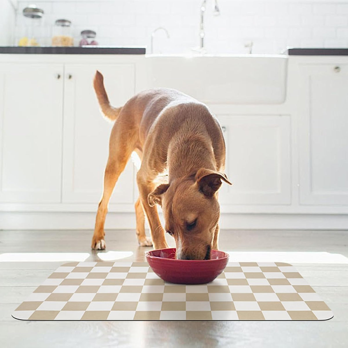 CooRug Checkered Dog Food Mat, Pet Feeding Mat 20" L x 12" W - Beige / 20"L x 12"W - image 3