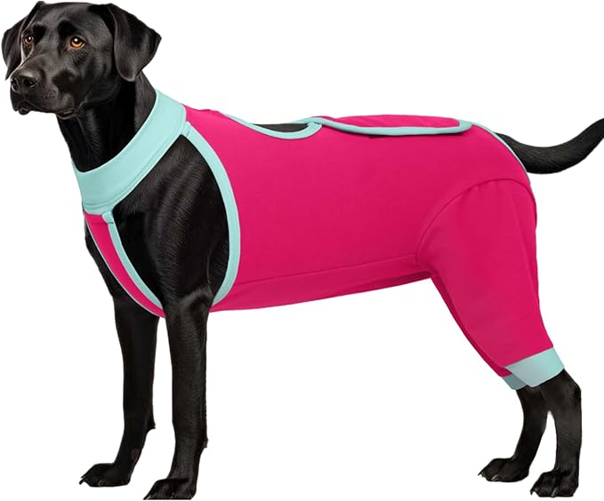 ROZKITCH Dog Surgery Leg Sleeve Rear Legs, Male Female Pet Prevent Licking Wound Elbow Knee Protector, Dog Recovery Suit Cone Collar Alternative Pants Shirt for Wound Heal Wrap Rosered M