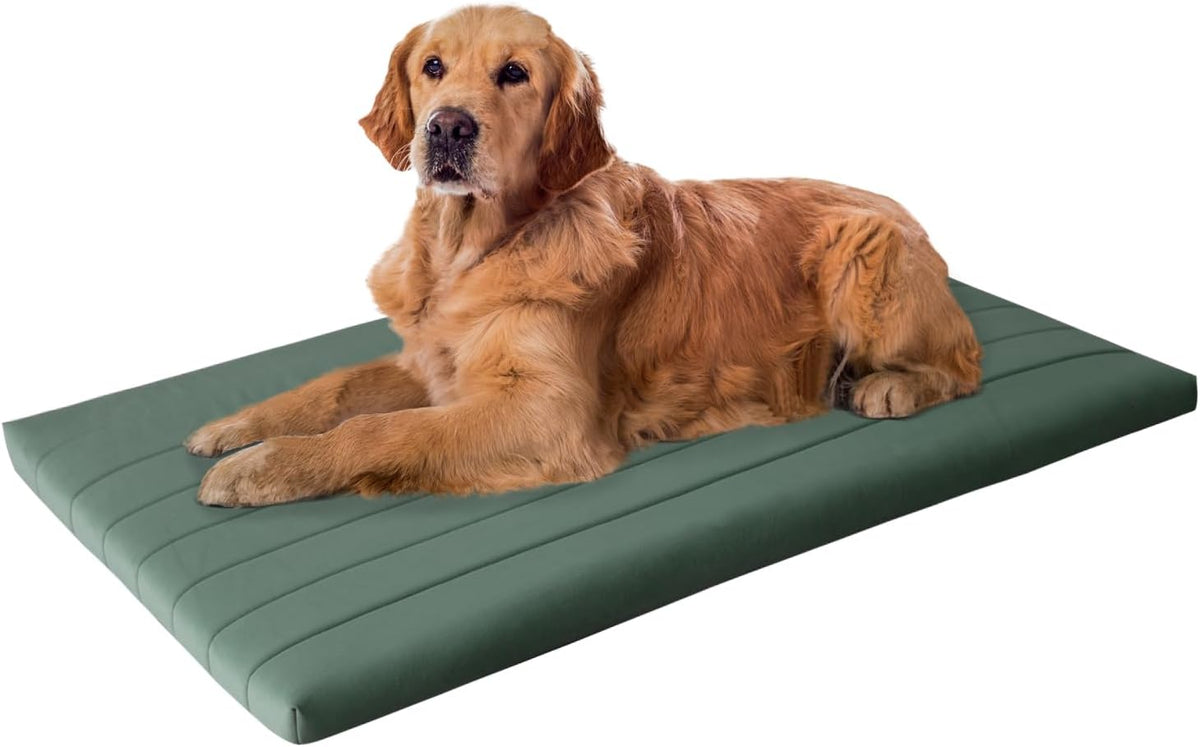 BALANCE Dog Crate Bed, Orthopedic Dog Bed Pad with Waterproof Liner, Washable Crate Foam Pet Mat - Mint Leaf / 48.0"L x 30.0"W x 2.0"Th