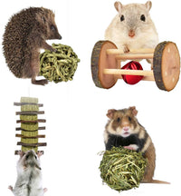 ERKOON New 12 Pack Hamster Chew Toys Gerbil Rat Guinea Pig Chinchilla - image 4