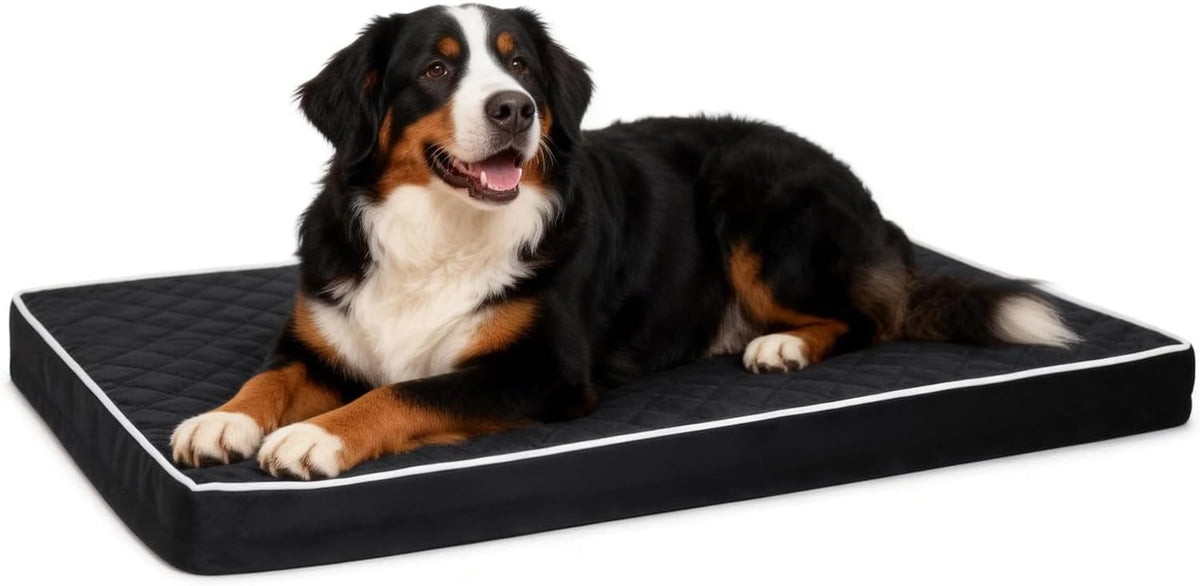 Orthopedic XL Dog Beds Large Sized with Washable Cover, 41x27 - 47.0"L x 29.0"W x 4.0"Th / Black