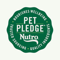 Nutro Natural Choice Large Breed Puppy Dry Dog Food, Lamb and Brown Rice Recipe, 30 lbs.