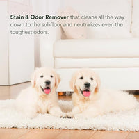 pawTree Urine Eliminator™ - Stain & Odor Remover for Cats and Dog. Enzymatic technology permanently removes old and new stains, neutralizes odors, and prevents repeat marking. Ideal for carpets.