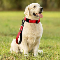 PLUTUS PET 10” Short Dog Leash, Reflective Nylon Padded Handle, Strong Traffic Leash with Carabiner Clip, Perfect for Large or Medium Dogs（10”，Red