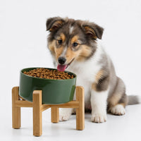 Black Raised/Elevated 15°Slanted Ceramic Dog Bowl for Small Breeds - Rust Green / 3.6 CUPS - Medium Dog Bowls
