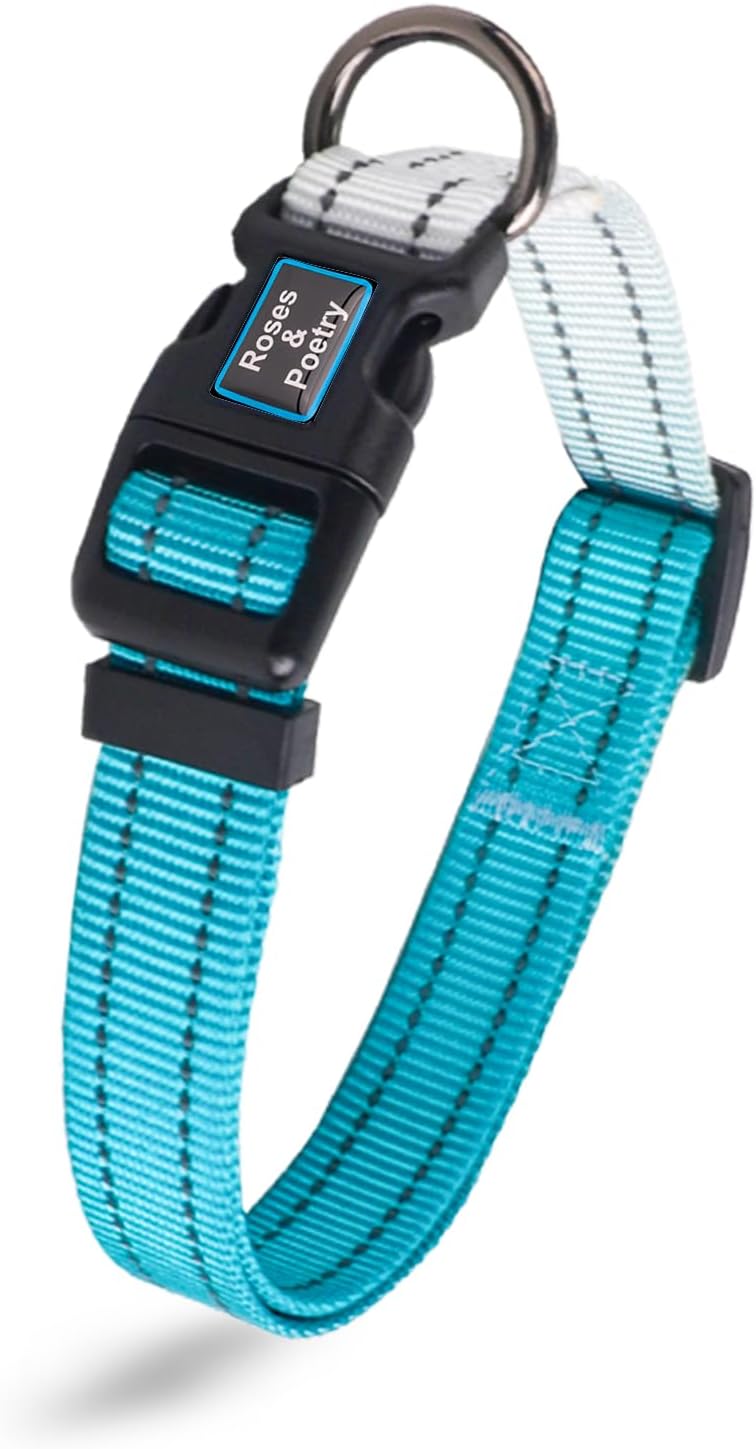 Roses&Poetry Reflective Dog Collar with Gradient Mistyrose - S / Teal