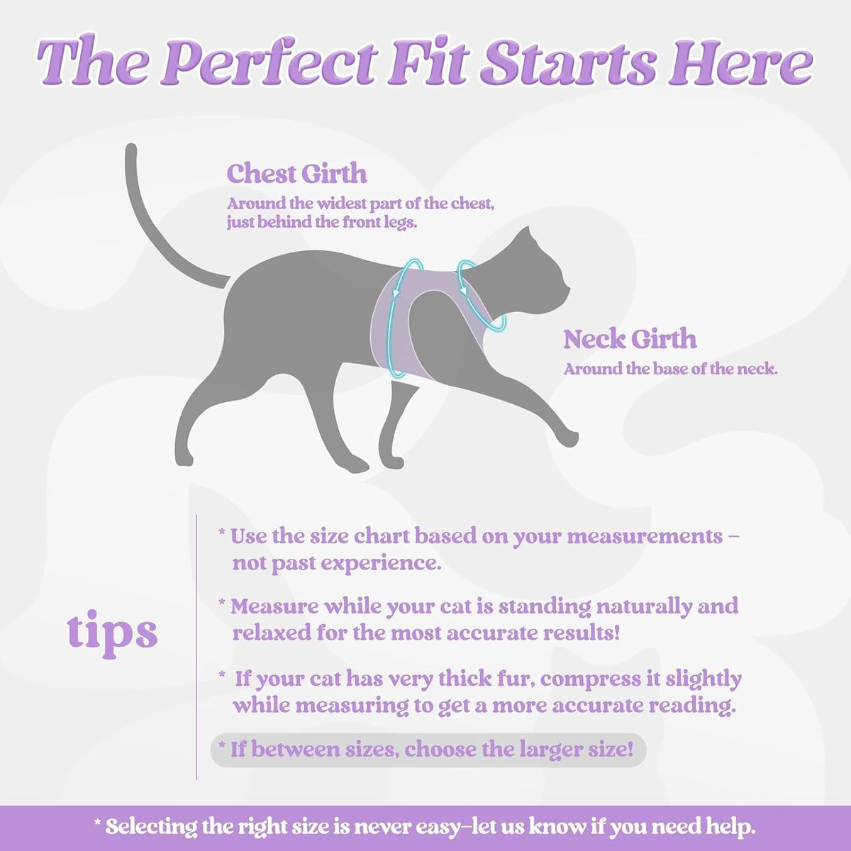 rabbitgoo Cat Harness and Leash Set, Step-in Soft Vest - S / Light Purple - image 2