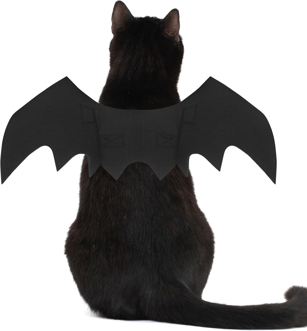 OLANRUN cat Halloween costume with felt bat wings and pumpkin bell in medium - view 2