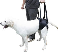 Dog Lift Harness for Dogs with Disabled Arthritis and Weak Back Legs, humanized Design with Comfortable Materials, Adjustable Back Legs and Straps, Suitable for Helping Dogs to Recover and Walk. (L)