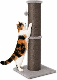 PAWSCRAT 32-Inch Tall Cat Scratching Post, Sisal - X-Large / Grey