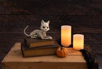 Crazy Bonez Cute Skeleton Cat – Essentials for Cats - image 2