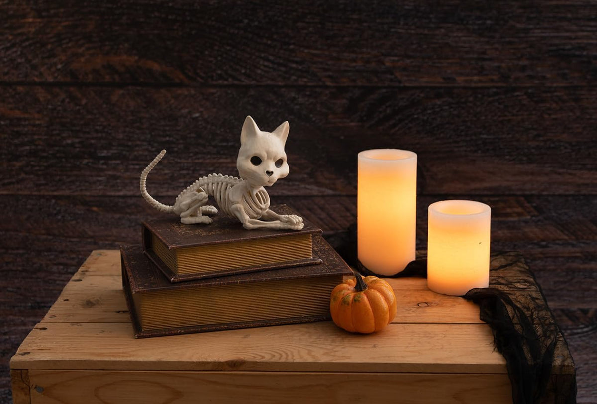 Crazy Bonez Cute Skeleton Cat – Essentials for Cats - image 2