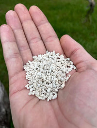 LitChicks’ Calcified Seaweed for Laying Chickens - Crushed Oyster Shell Alternative - Highly Digestible - Single Ingredient - Helps with Egg Laying & Flock Health.