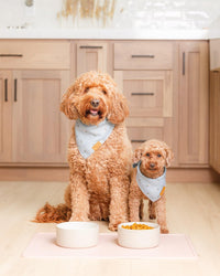 Remy+Roo Silicone Dog Food Mat for Pet Bowls - Peony - image 2
