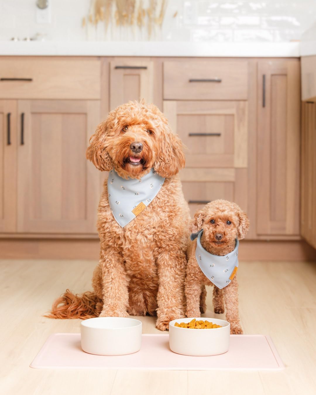 Remy+Roo Silicone Dog Food Mat for Pet Bowls - Peony - image 2