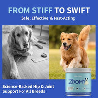Dog Joint Supplement Powder with Glucosamine, Chondroitin & MSM – Hip & Joint Support for Mobility, Stiffness & Flexibility – Mushroom Blend with Lion’s Mane, Cordyceps & Reishi – Zoomy