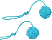 2Pcs Dog Training Ball on Rope, Exercise & Reward Toy for Dogs - 2pcs blue