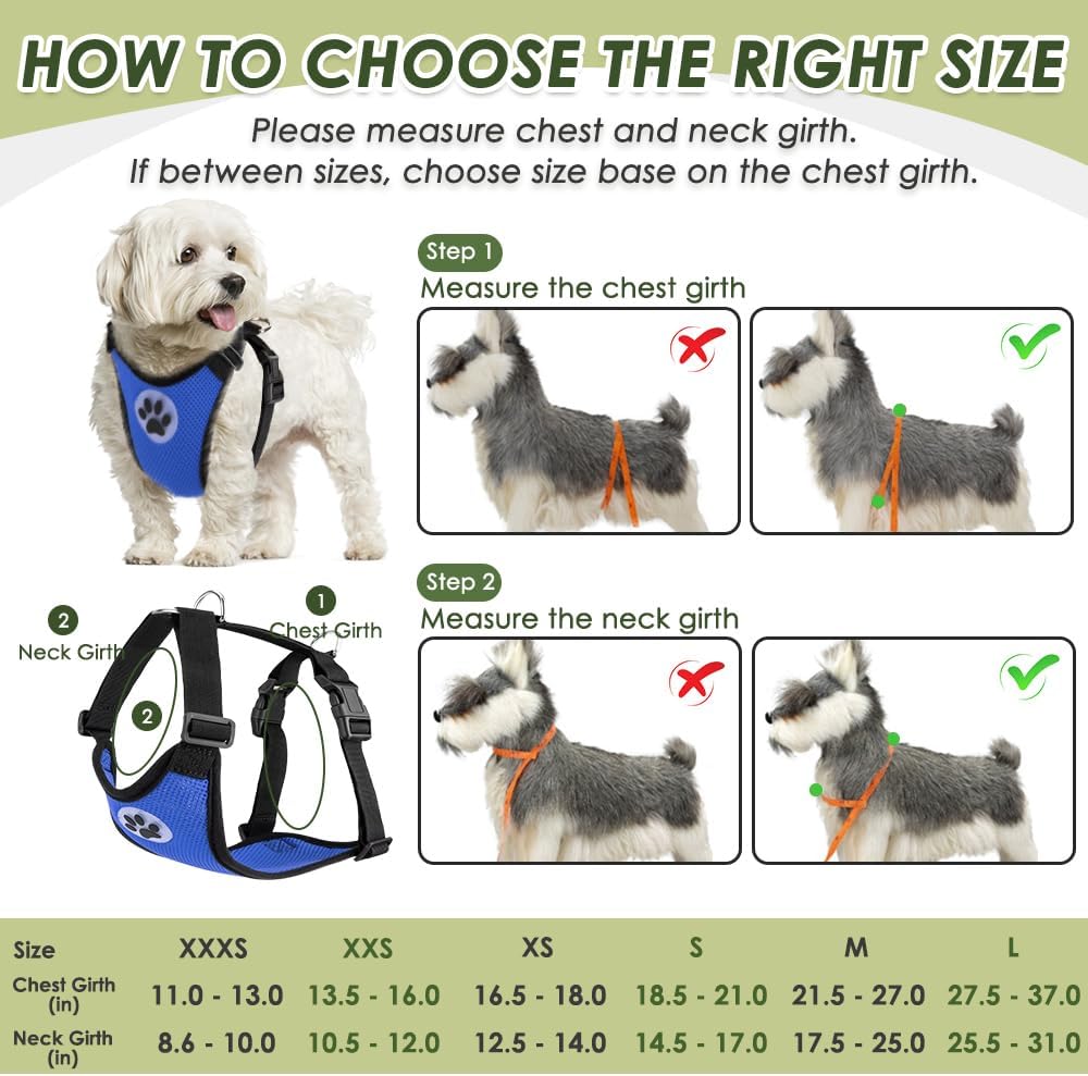 SlowTon Dog Seat Belt and Harness for Car, B M - Blue / XXX-Small - image 4