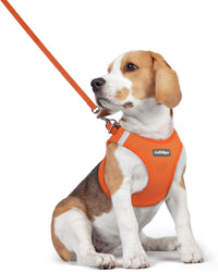 rabbitgoo Dog Harness Small Sized and Leash Set - Orange / L (chest: 18.2 - 20.5")