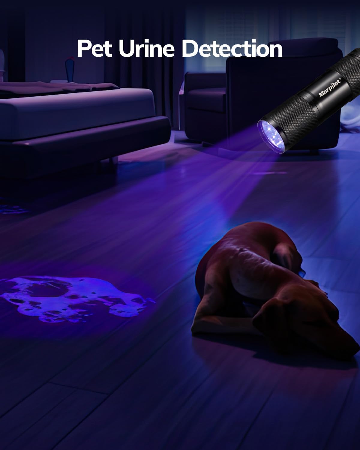 morpilot Mini UV Blacklight Flashlight - 1 Count (Batteries Included) - image 4