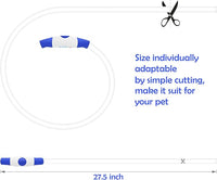 Light up Dog Collar, BSEEN USB Rechargeable Flash Dog Necklace Light, Pet Safety Collar Makes Your Beloved Dogs Be Seen at Night for Small Medium Large Dogs(Blue)