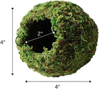 Galápagos Mossy Cave Hide, Green - 4" (Pack of 6) - image 4