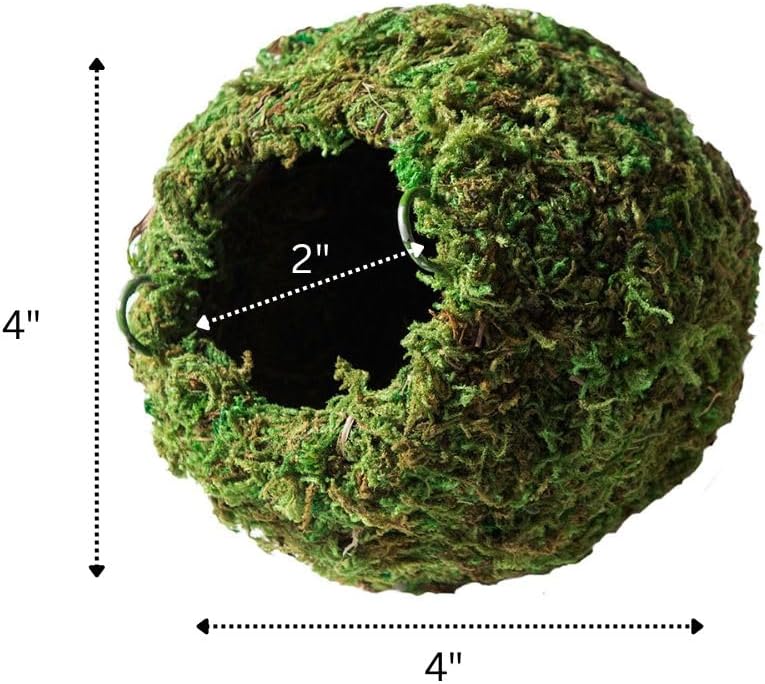 Galápagos Mossy Cave Hide, Green - 4" (Pack of 6) - image 4
