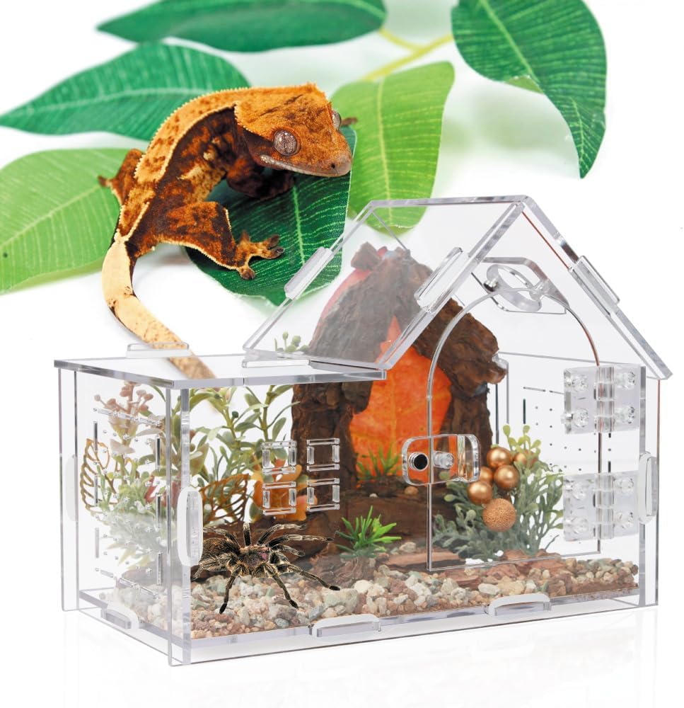 House-shaped acrylic jumping spider enclosure with sloped roof and magnetic sliding front door - view 4