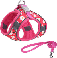 Step in Dog Harness No Pull Flower Adjustable Soft Mesh Harness – Essentials for Dogs - XS(neck:9.5"-10.5",chest:11.5"-13.5") / Rose red - image 2