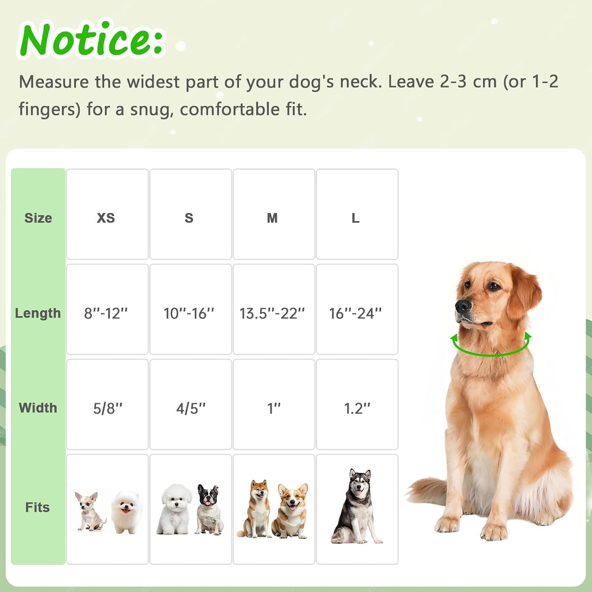 Medium Dog Collars for Male Dogs - Green Dinosaur / S - image 2
