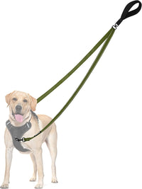 Two Point Control Dog Leash, No Tangle Training Walking Leashes – Essentials for Dogs - Khaki Green