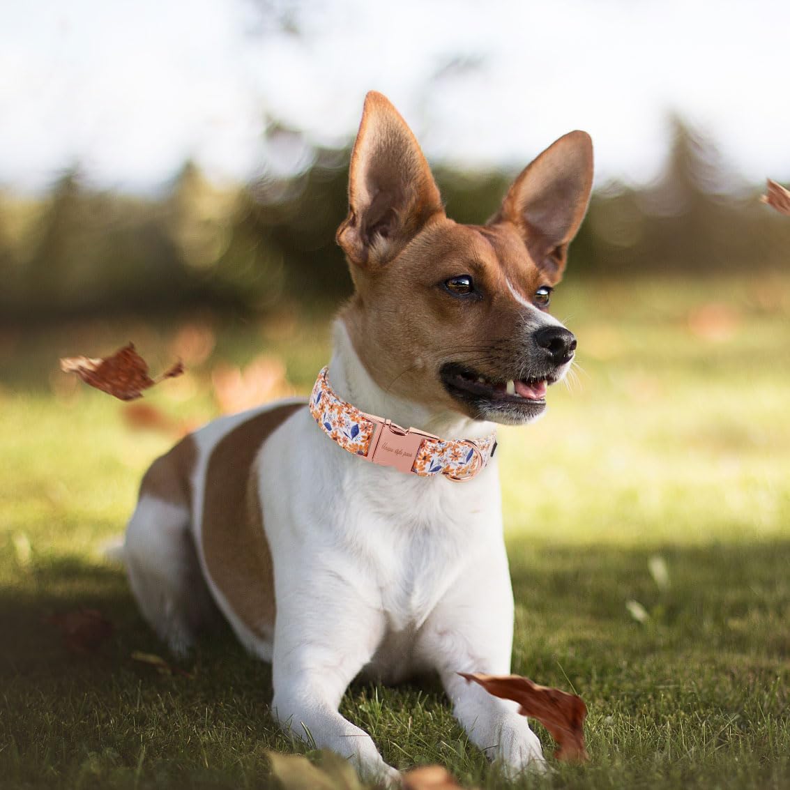 Dog Collar With Metal Buckle, Red Rose Flower Gift for Small - Leaf flower / M - image 3