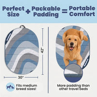 Travel Dog Bed, Foldable & Packable with Carry Bag, Black - Glacier Tide / Medium - image 2