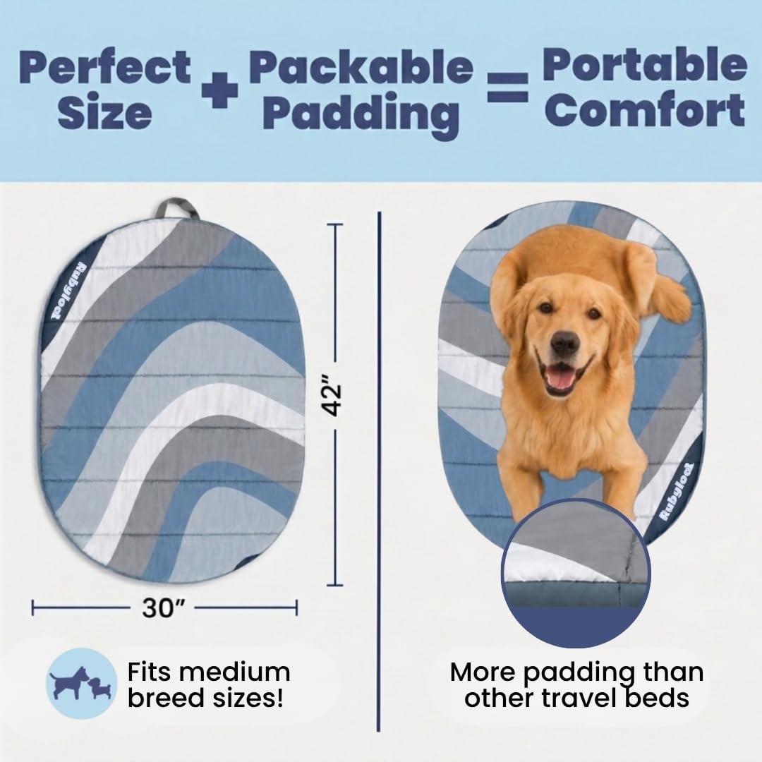 Travel Dog Bed, Foldable & Packable with Carry Bag, Black - Glacier Tide / Medium - image 2