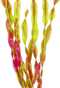 MyLifeUNIT Artificial Seaweed Water Plants for Aquarium - Wine Red - image 3