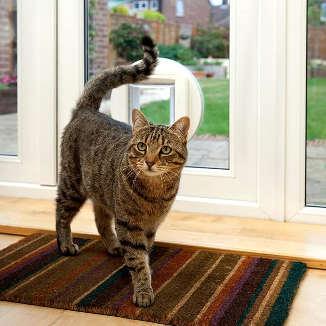 White SureFlap Sure Petcare microchip cat flap with selective entry - view 3