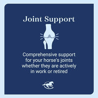 SmartEquine Leg Up Joint Pellets | Joint Support Supplement For Horses | Glucosamine Chondroitin Sulfate and Antioxidants Formula With No Added Sugar | Ideal For Light Work Horses | 45 Servings | 2 lb