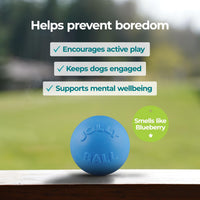 Jolly Pets Bounce-n-Play Dog Toy Ball - Blueberry / Medium (6 in) - image 2