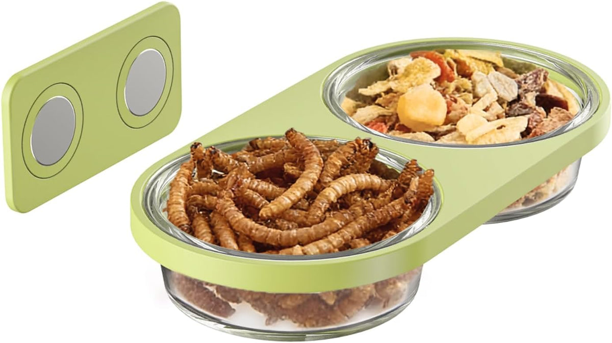 Magnetic Reptile Feeding Ledge with 2 Pack Plastic Bowls Food Feeder - Green(Pack of 1） / Magnetic-Mounted