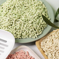 I AM TOFU - Tofu Cat Litter, Natural Flushable, Dust Free, Extra Clumping Pellet Litter (10 LBS, Green Tea)