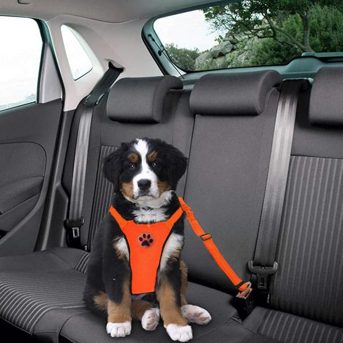 Lukovee Dog Seat Belt - Adjustable Dog Car Harness for Large, Medium & Small Dogs, Soft Padded & Breathable Mesh Dog Seatbelt with Vehicle Connector Strap (Orange, XX-Small)