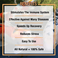 MICROBE-LIFT Sabbactisun Disease Treatment for Ponds and Outdoor Water Gardens, Disease Expellant for Pond Fish, 16 Fl Oz