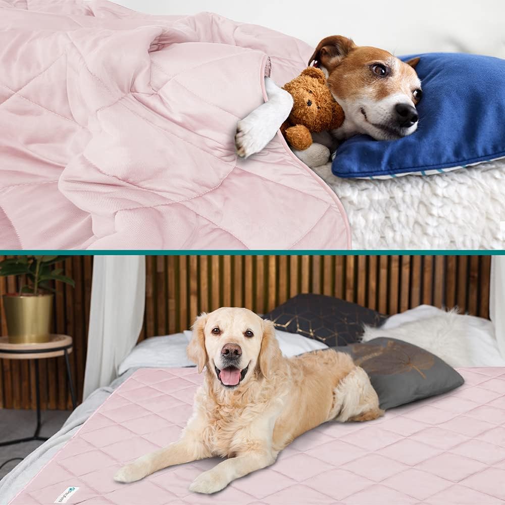 PetAmi Cooling Dog Blanket Lightweight for Small Pet Cat, 24x32 - Pink / X-Large (60x80) - image 2