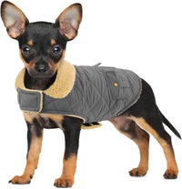 Dog Winter Coats for Small Dogs Puppies - Solid Grey / Small