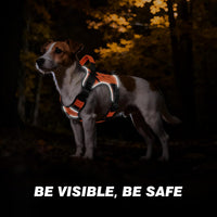 Tactical Dog Harness for Large Dogs - Orange / Medium: 30-50 lbs (Chest:24-28",Neck:17-19") - image 3