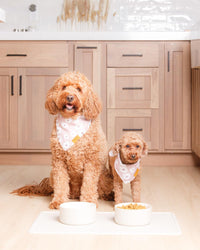 Remy+Roo Silicone Dog Food Mat for Pet Bowls - Stone - image 2