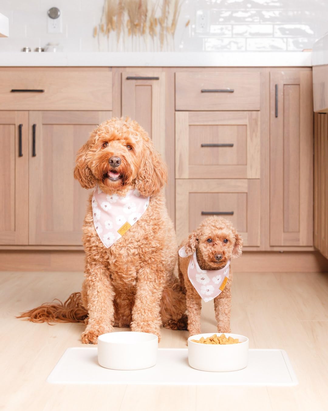 Remy+Roo Silicone Dog Food Mat for Pet Bowls - Stone - image 2